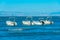 Sidari, Greece, September 13, 2022: Boats mooring at Sidari in G