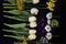 Side arrangement of a group of different flowers, daffodils, gypsophila, Mimosa twigs, small asters and cyclamen on a black backgr