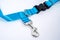 Side black release buckle from plastic with blue belt nylon and Metal carabiner with strap on the white background.  Pet restraint