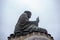 Side bottom view of Tian tan the great buddha on bright sky background