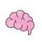 Side brain human anatomy organ of inteligence