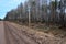 Side of a country road with a puddle. The country road passes through the spring forest. Mudslide. Kilometer post on the side of t