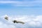 Side image commercial passenger aircraft or cargo transportation airplane flying through white fluffy cloud with blue sky in