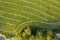 Side of a mowed meadow with stripes of dry hay with trees growing around