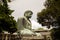 Side photograph of the great buddha of kamakura