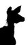 Side Profile Image of Kudu Cow Listening