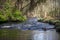 A side stream of River Don in Seaton park, Aberdeen