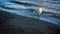 Side view of adorable European herring gull standing on the shoreline