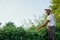 Side view of afro man cutting hedge with electronic trimmer