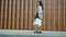Side view of attractive girl customer walking outdoors holding shopping bags smiling
