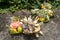 Side view of Balinese offerings on stone surface