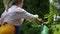 Side view beautiful plus-size woman watering flowers smelling yellow rose petals in slow motion in sunshine. Happy