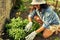 Side view of a cheerful female gardener gardening in the garden. An happy owner farmer woman examination of new plants on the farm