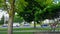 Side View of City Traffic Driving and Slowing Down By Lush Green Trees.  Urban Landscape With Car Vehicle Starting to Reduce Speed