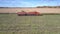 Side view corn combine with truck gathers corn mass