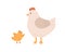 Side view of cute hen and yellow chicken isolated on white background. Mom listen to funny baby bird flapping its wings