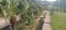 Side View of Decoration Plants on the Outer Gallery of Main Building in Residency