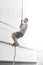 Side view of determined man climbing rope in crossfit gym