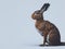 Side view of european brown hare. Ai Generated