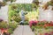 Side view of gardener carrying crate with flower pots while walking outside greenhouse