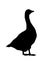 Side View Geese Isolated Graphic Silhouette