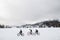 Side view of group of mountain bikers riding outdoors in winter.