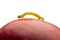 Side view of inchworm on peach