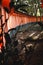 Side view of Japan Torii tunnel a place full of color and spiritual vibe