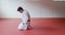 Side view judoka kneeling on the judo mat