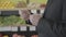 Side view of male Caucasian hands holding bill in grocery shop. Unrecognizable elegant man in suit looking through price