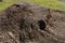 Side view of a mulch pile in a garden