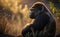 A side view photo of a gorilla in the sunset with blurred background, generative AI