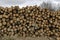 Side view of pile or stack of wood logs in Plana mountain