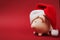 Side view of pink piggy money bank with Christmas hat on bright red background. Money accumulation, investment