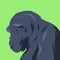 side view portrait of chimpanzee, ape or monkey. animal concept, zoo. flat vector graphics.