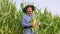 Side view proudly standing elder farmer holding corn crop, turns head and looking at camera.