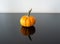 Side view of a pumpkin with large green stem on a black surface with mirror like reflection and a white wall behind