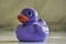 Side view of a purple rubber duck