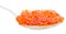 Side view salty Sockeye salmon Red caviar on spoon