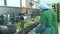 Side View Skilled Women Workers Cut Cabbage at Conveyor