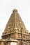 Side view of Temple Tower - Thanjavur Big Temple