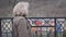 Side view of thoughtful senior Caucasian woman standing next to fence and looking away. Blond mature female retiree