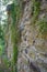 Side view of Victorian stone wall with French drain architectural feature and green ivy