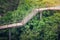 Side view wooden sky walk or walkway cross over treetop surrounded with green natural and sunlight.