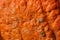 Side of a Warty Pumpkin Abstract Texture Background