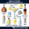 Sidecar cocktail. Infographic set of isolated elements on white background