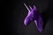 Sideview of violet shadowed unicorn`s head hanging on wall.