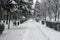 Sidewalk covered with snow