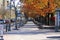 Sidewalk in the Fall downtown