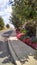 Sidewalk with flowers and plants pretty